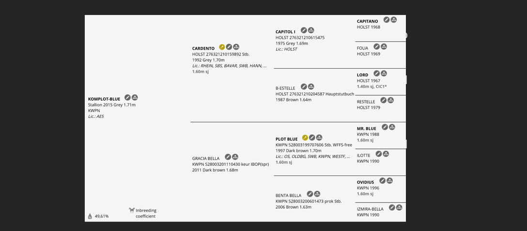 The pedigree of Komplot Blue